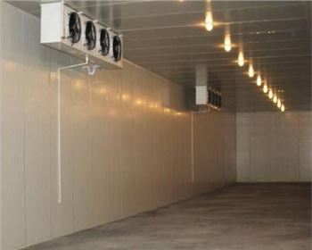 陜西潔凈板：建筑安全的衛(wèi)士